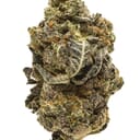 Alien Cookies - Hybrid THC 26%