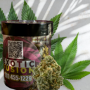 ALASKAN THUNDER FUCK