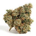 White fire punch (AAA+)