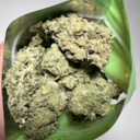 Critical Kush (Indoor Premium)