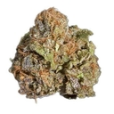 Sour Chocolate (EXOTIC A+)