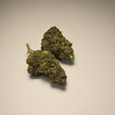 Katsu Bubba Kush (PREMIUM)