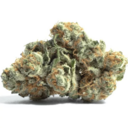 GUSHERS - AAA Indoor