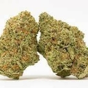 *Pineapple Mimosa (S)