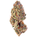 Tropicana Cookies
