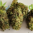 Raspberry Goo - Exotic SMALLS