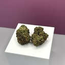 Pistachio Gelato-Premium