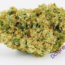 Jack Herer (A+)