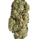 Super Sour Diesel (TOP SHELF)