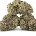 Fruit Punch (exotic)