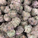Purple Punch (exotic)
