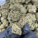 Gelato +A (Hybrid)