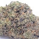 APPLE GELATO (EXOTIC)
