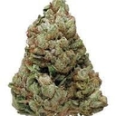 Green Crack Sativa (Top-Shelf)