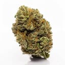 Black Gelato - Indica THC 26%
