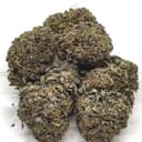 Blue Cheese