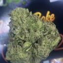 TOPSHELF- ROOT BEER