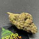 Lodi Dodi (EXOTIC A+)