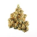 Blue Dream (PREMIUM)