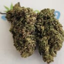 Grapefruit Krush - P