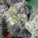 RESERVE- SUPREME GELATO