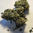TAHOE OG