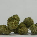 **Sticky Bitch**