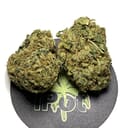 Green Crack