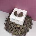Blackberry Moonrocks-Designer A+++