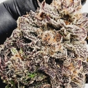 LEMON BUBBLEGUM (DESIGNER)