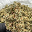 Super Lemon (Sativa)