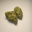 Sluriccane (PREMIUM)