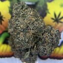EXOTIC- GARLIC BREATH