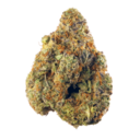 Dr. Grinspoon AAA