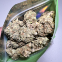 Green Goddess (Indoor Premium)
