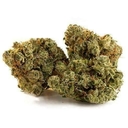 Tangerine Dream (top shelf)