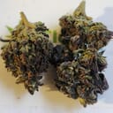 Ghost Rider OG - P