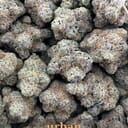 Alpha Purple Indica | Designer Flower