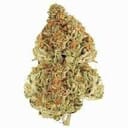 KING LOUIE XIII OG (EXOTIC)