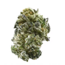 GIRL SCOUT COOKIES (GSC)