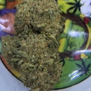 PREMIUM- CHERRY JERRY