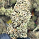 EXOTIC - STRAWBERRY GUAVA