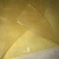 GMO- Shatter