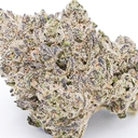 HELLA JELLY (DESIGNER)