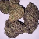 Colombian Gold (A+)