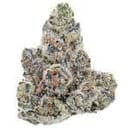 KC exotic