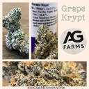 Grape Krypt