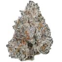 Rainbow Nerds Cannabis - 41% THC Designer Exclusive Strain