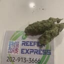 Master kush