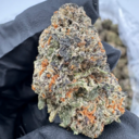 Lemon Cherry Gelato (Hybrid)